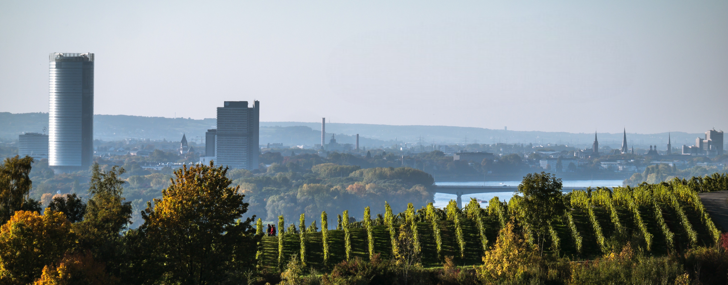 Blick auf die Bonner Skyline mit Post Tower und Weinbergen im herbstlichen Vordergrund